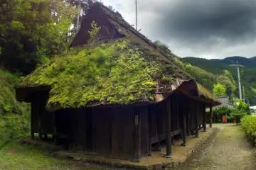 The thatched house