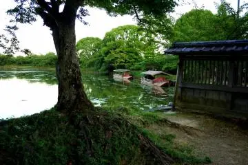 <p>Layaknya pemandangan yang damai!</p>