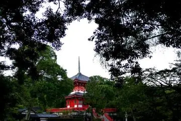 <p>Warna merah dan putih dari Shingyohoto terlihat kontras dengan warna gelap hijau pepohonan</p>