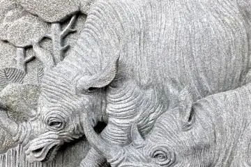 <p>Rhino carving</p>