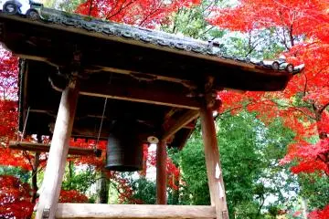 <p>종 탑 뒤에 붉게 물든 단풍</p>