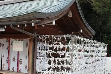 오미쿠지가 묽여 있다
