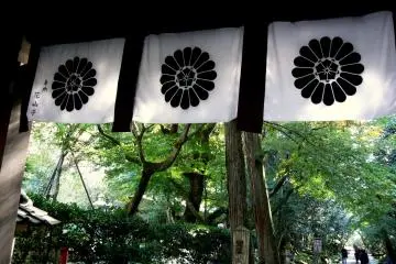 <p>Black and white curtains on the gate</p>