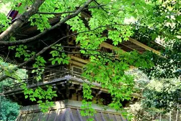 <p>Green leaves envelop the three tier pagoda</p>