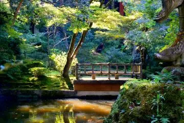 <p>Sunlight filters through the trees to illuminate this pond and bridge</p>