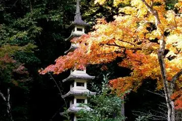 <p>Stone garden tower and orange maple leaves</p>