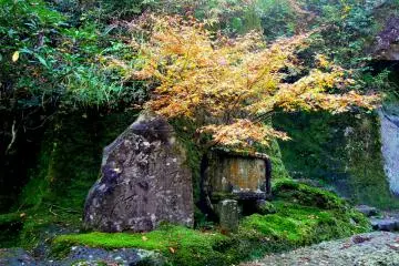 <p>Matsuo Basho's haiku engraved in stone</p>