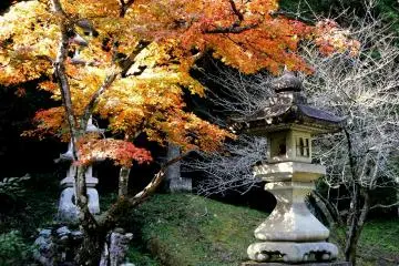 <p>Stone lantern under a fiery maple</p>