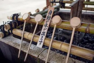 <p>At the&nbsp;fountain, or temizuya, water for cleaning the hands and mouth drips from holes in bamboo</p>