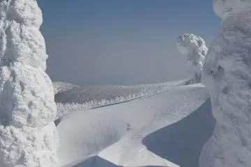 Ice Monsters in Zao Onsen