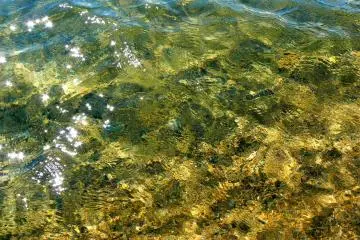 <p>Beautiful clear water</p>