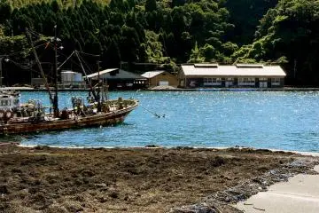 <p>Nets spread to dry in the sun</p>