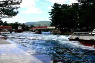 <p>The revolving bridge at Amanohashidate</p>