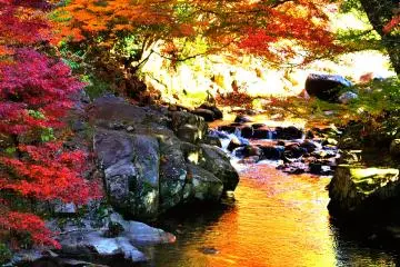 <p>The Buddhist 'Pure Land Paradise' must look like this! (though I've never seen one)</p>