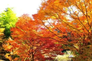 <p>The drama nature creates often leaves me speechless!</p>