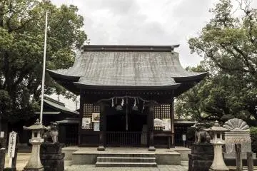 Gallery image
