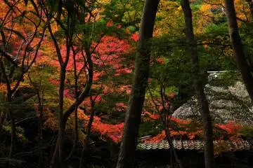<p>This rustic old temple is located deep in Saga, Kyoto. The serenity and&nbsp;austerity permeate the entire grounds</p>