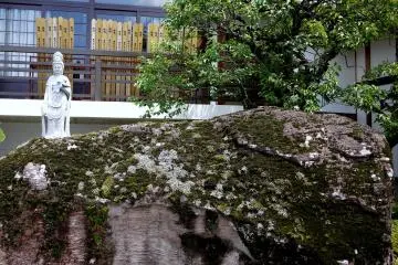 <p>Kanon Statue stands behind a huge rock</p>