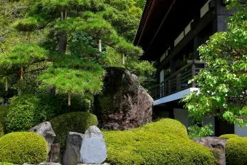 <p>Masterful landscaping with rocks</p>