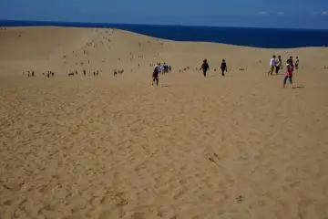 <p>เนินทราย tottori แรกเห็นก่อนเดินก็อดคิดไม่ได้นะว่ามีแค่นี้เหรอ</p>