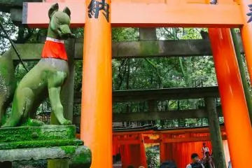 <p>Patung kitsune atau rubah yang dipercaya sebagai pengantar Dewa Beras/Inari</p>