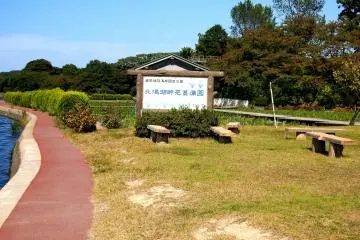 <p>The Iris Garden beside Lake Kitagata</p>