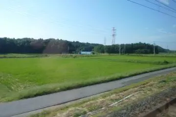 By train, it won't be long before rice paddies, fields and forests replace Tokyo's urban landscapes