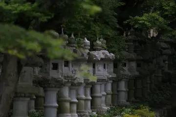 <p>Stone lanterns loiter in the warmth of the abundant greenery</p>