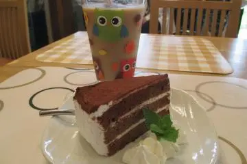 ลิ้มลองกาแฟและขนมหวานในขณะชมนกฮูกรอบตัวคุณ