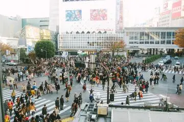 Shibuya Crossing
