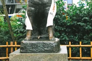 <p>The famous Hachiko statue is often used as meeting point.</p>