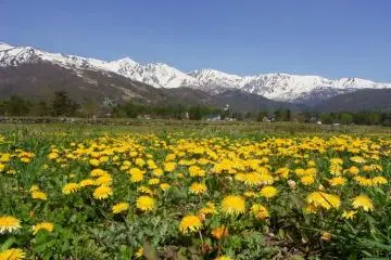 Hakuba scenery