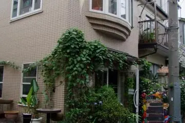 <p>On a residential street &nbsp;</p>