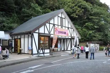 Gallery image