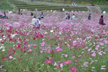 People and Flowers