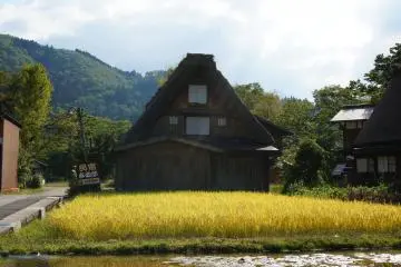 <p>บ้านอาบไปด้วยแสงแดด</p>