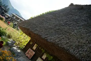 <p>ชอบไม้เลื้อยบนหลังคา มันมีเสน่ห์</p>