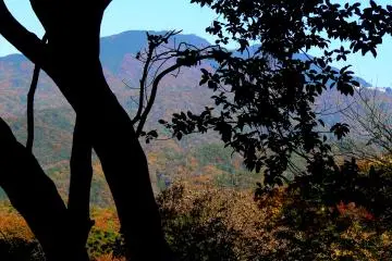 <p>Glimpses of Kyoto's other mountains through the trees</p>