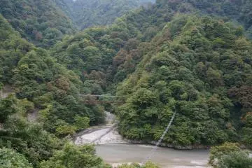 <p>สะพานอะไรเอ่ย สะพานลิง ลิงเป็นเจ้าถิ่นที่นี่จริงๅ</p>