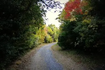 <p>Following the trail &nbsp;</p>