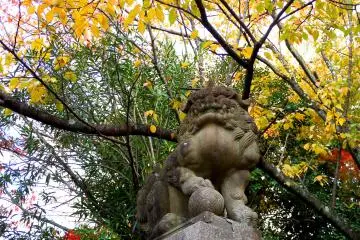 Gallery image
