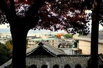 <p>You can see the big red torii of Heian Jingu Shrine from here</p>