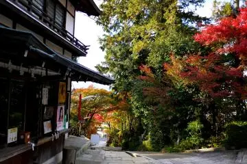 <p>Looking along the path down to the entrance</p>