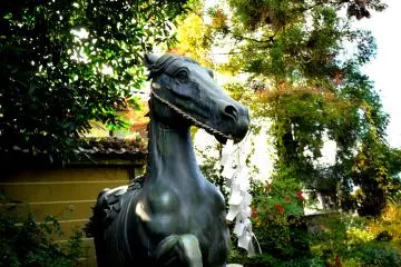 <p>From this angle, the horse seems to be about to leap forward</p>