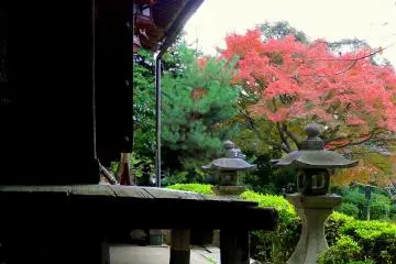<p>Stone lanterns stand on front of the wooden verandah &nbsp;</p>