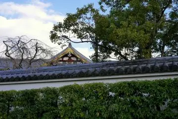 <p>A glimpse of the temple roof over the wall</p>
