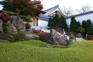 <p>Some talented garden designer has done an excellent job of creating this view! &nbsp;</p>