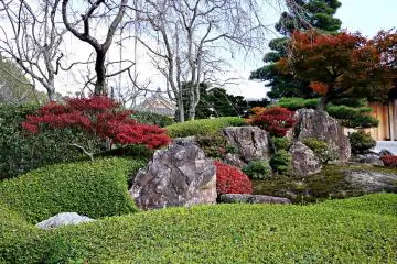 <p>Attractive rock garden &nbsp;</p>