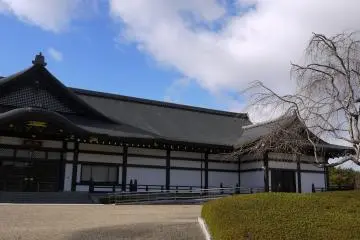 <p>The bare branches of a weeping cherry promise spring beauty near one of the temple buildings</p>