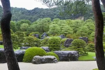 <p>Shiny black and green in the misty afternoon grey</p>